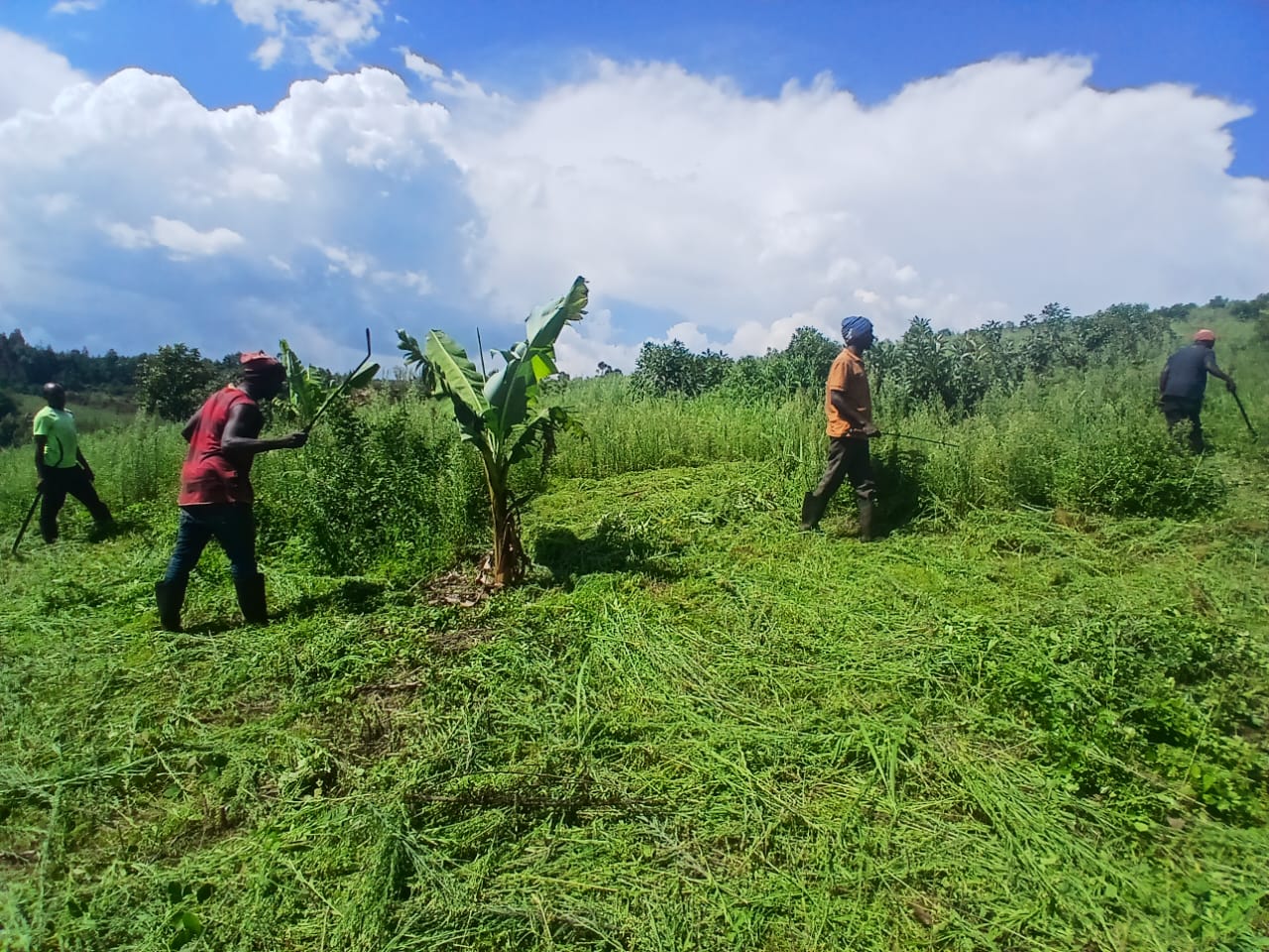 Community impact at MUSSGO Farms