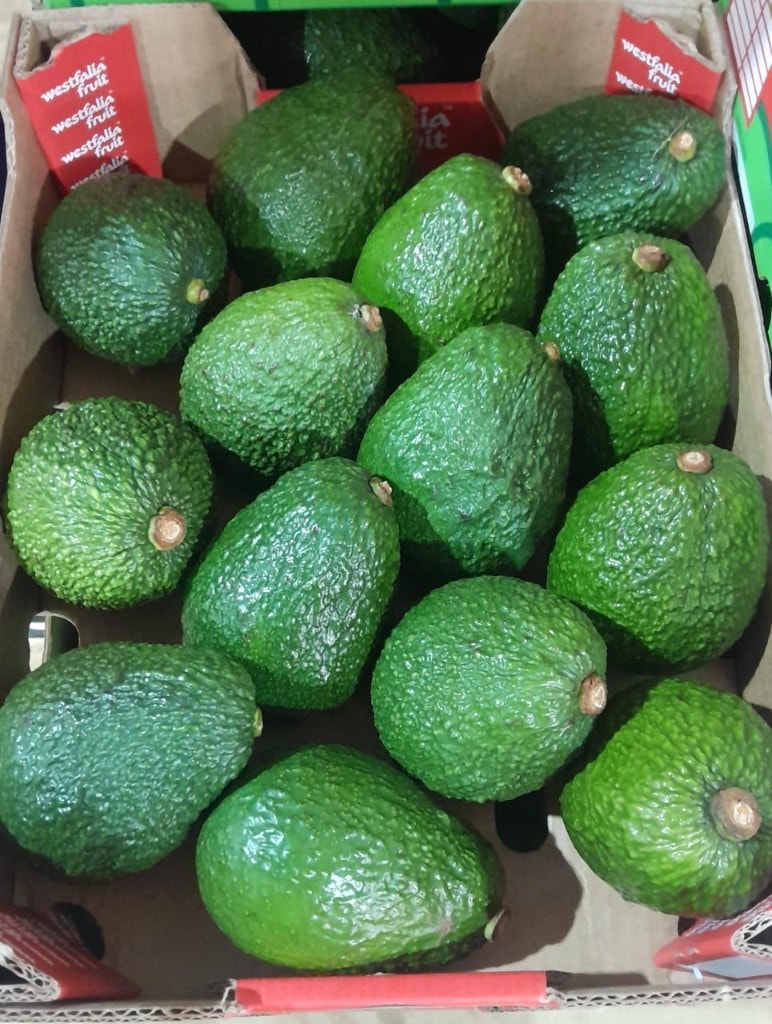 Premium packed Hass avocados